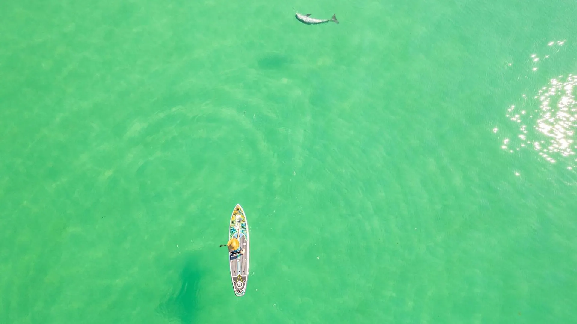 Sandpiper Cove 1082- By Holiday Isle Properties Destin United States
