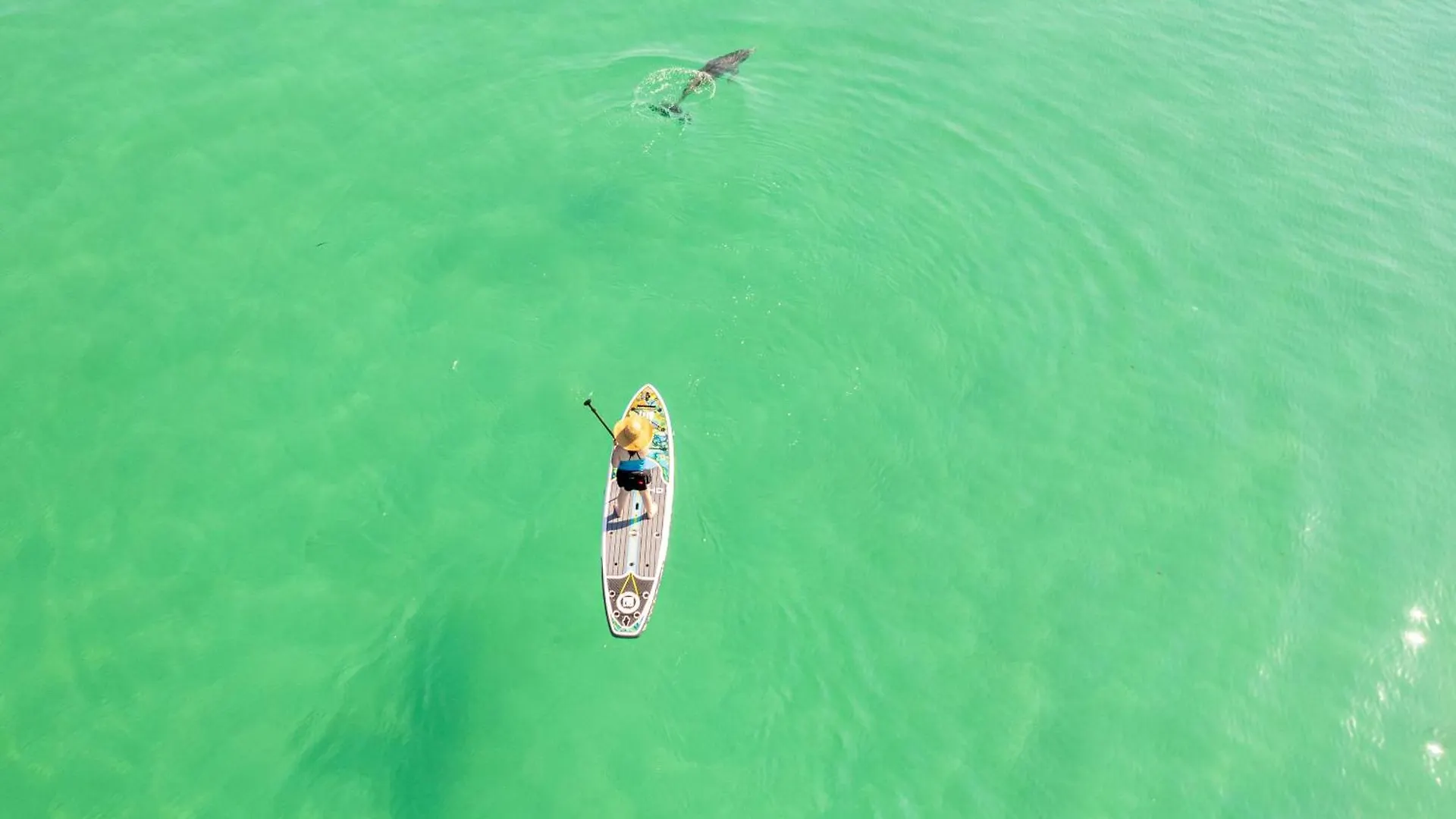 Sandpiper Cove 1082- By Holiday Isle Properties Destin 0*,