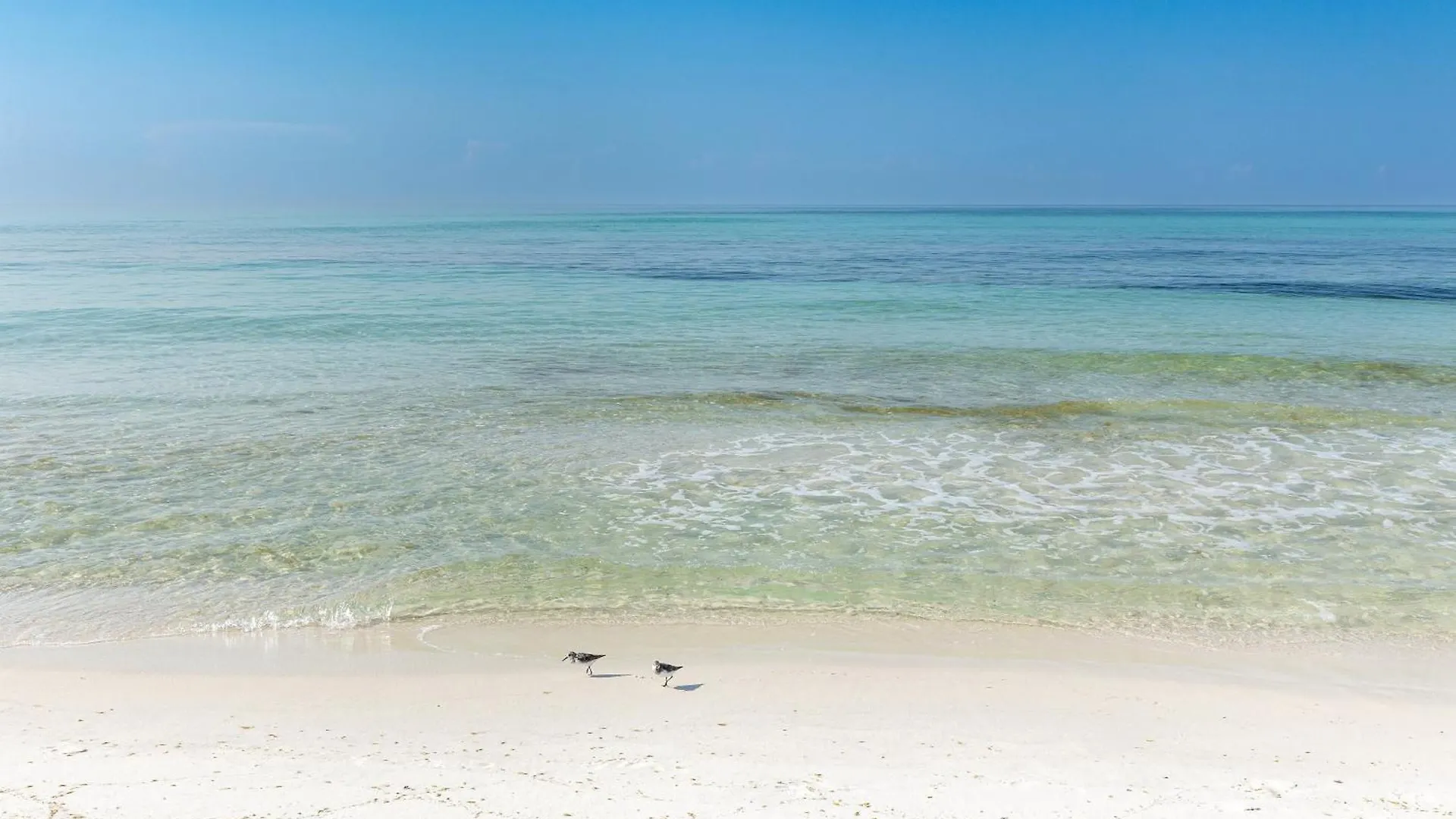 Sandpiper Cove 1082- By Holiday Isle Properties Destin United States