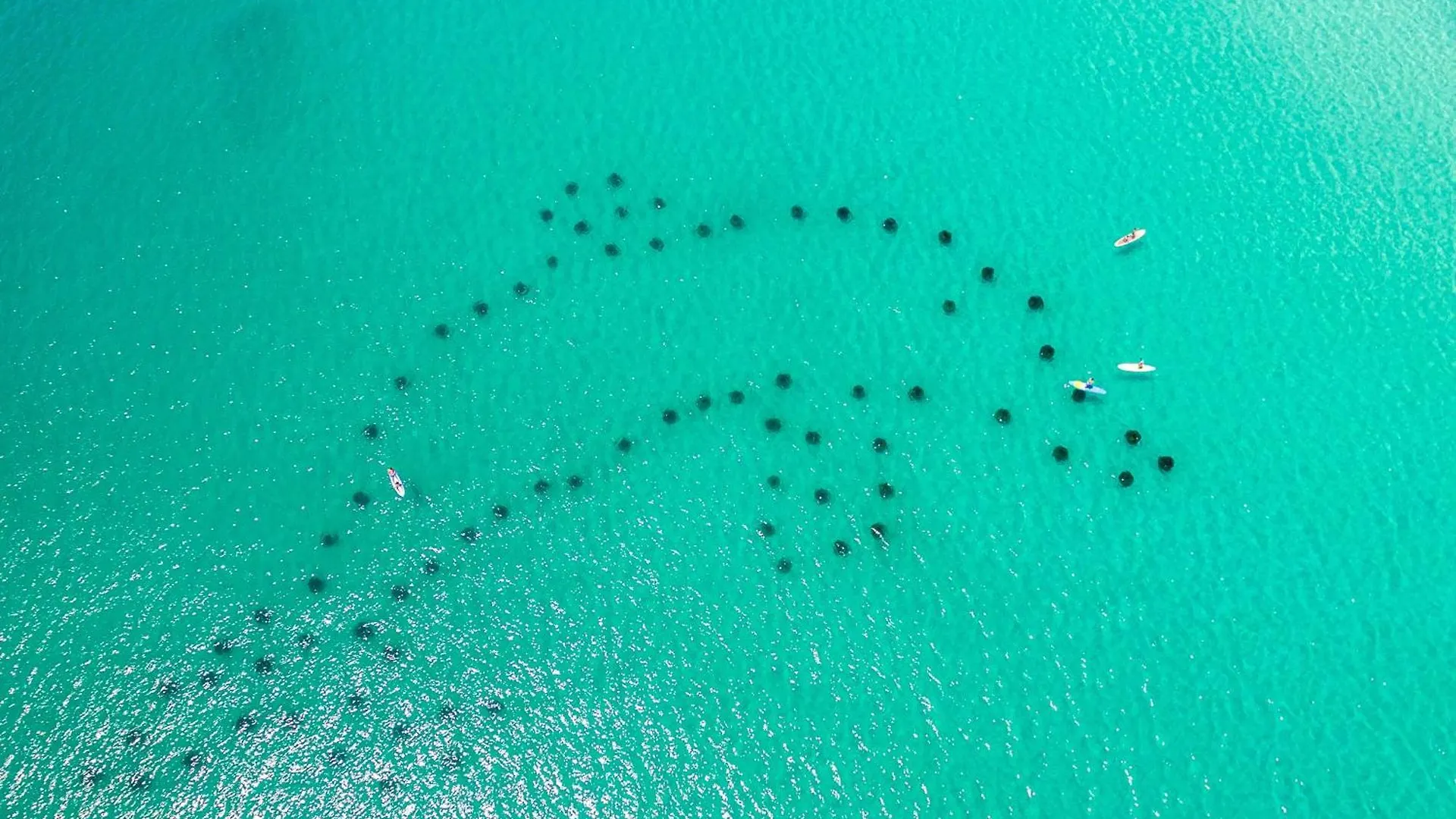 Sandpiper Cove 1082- By Holiday Isle Properties Destin United States